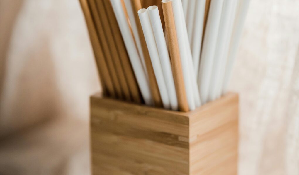 pailles jetables biologiques