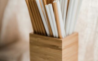 pailles jetables biologiques