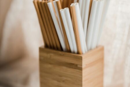 pailles jetables biologiques